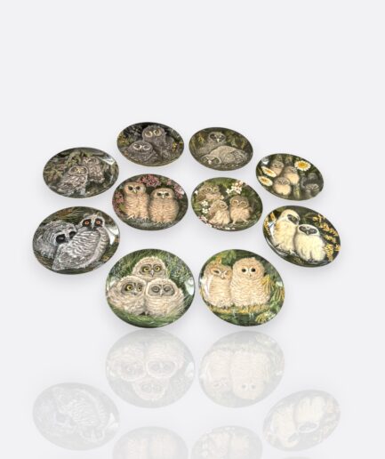 Baykuş Temalı Koleksiyon Porselen Tabaklar (10 adet)