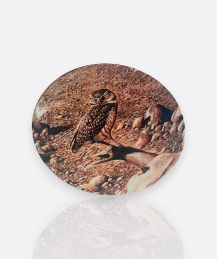 Baykuş Koleksiyon Tabakları – Wedgwood & Knowles, 1980–1990” ( 6 adet)